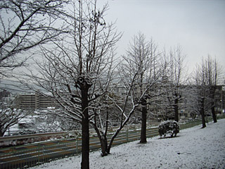 snowR0020536