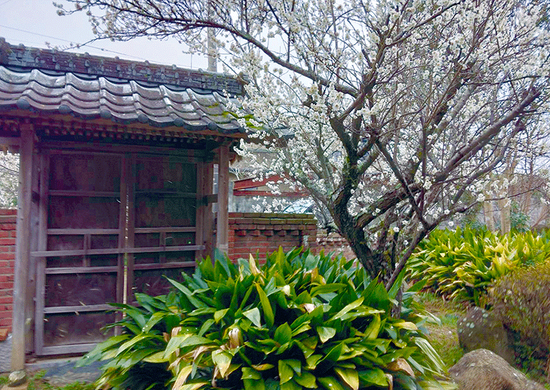 庭