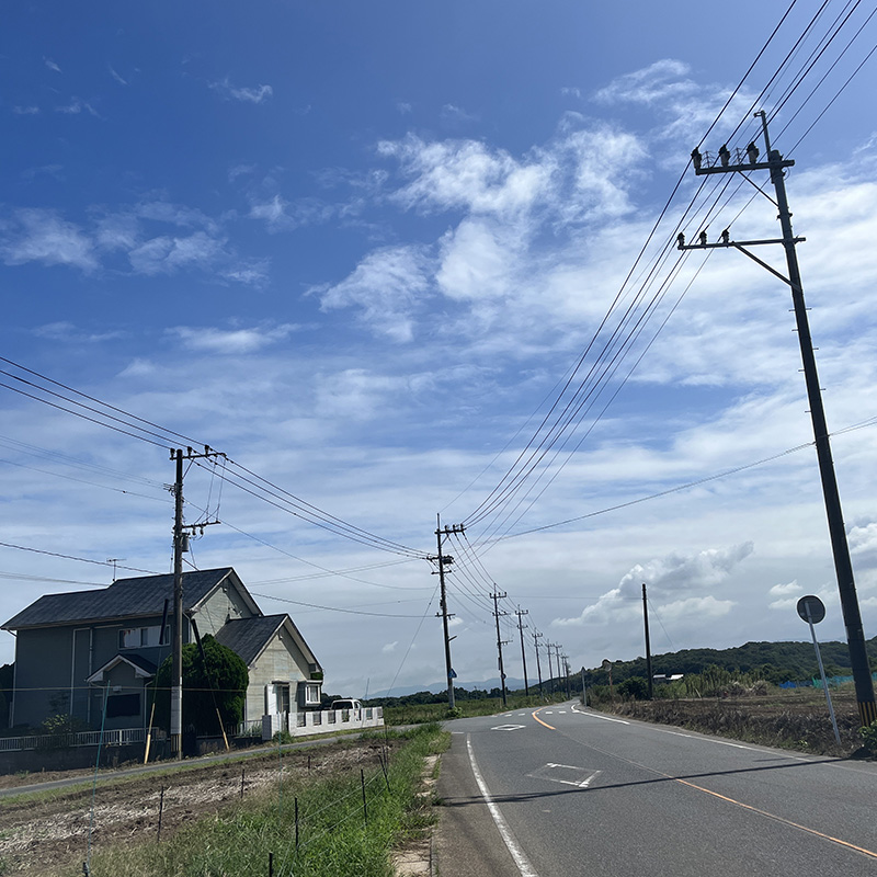 らくぱのぱ242号