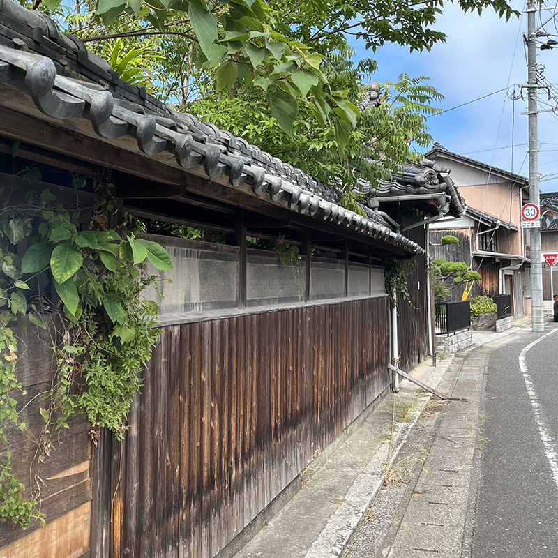 らくぱのぱ242号